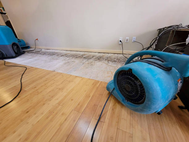 Professional Basement Flood Cleanup technician working in Placitas, NM